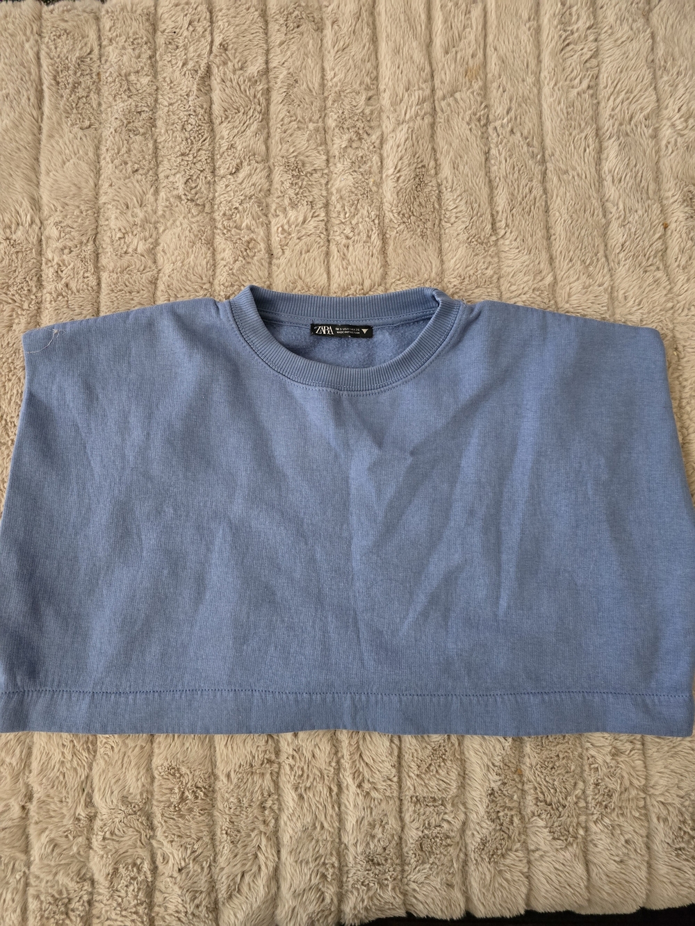 Zara Women Blue Crewneck Crop Top